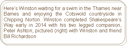 Rounded Rectangle: Here’s Winston waiting for a swim in the Thames near Barnes and enjoying the Cotswold countryside in Chipping Norton. Winston completed Shakespeare’s Way early in 2014 with his two legged companion, Peter Ashton, pictured (right) with Winston and friend Bill Richardson