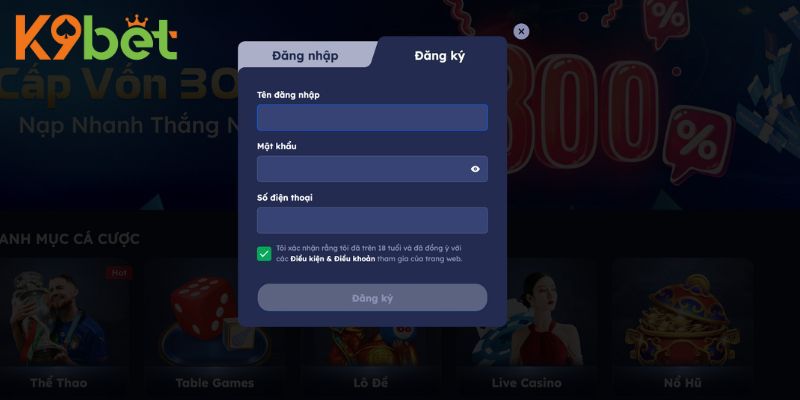 Xử Lý Các Lỗi Thường Gặp Khi Đăng Nhập K9Bet
